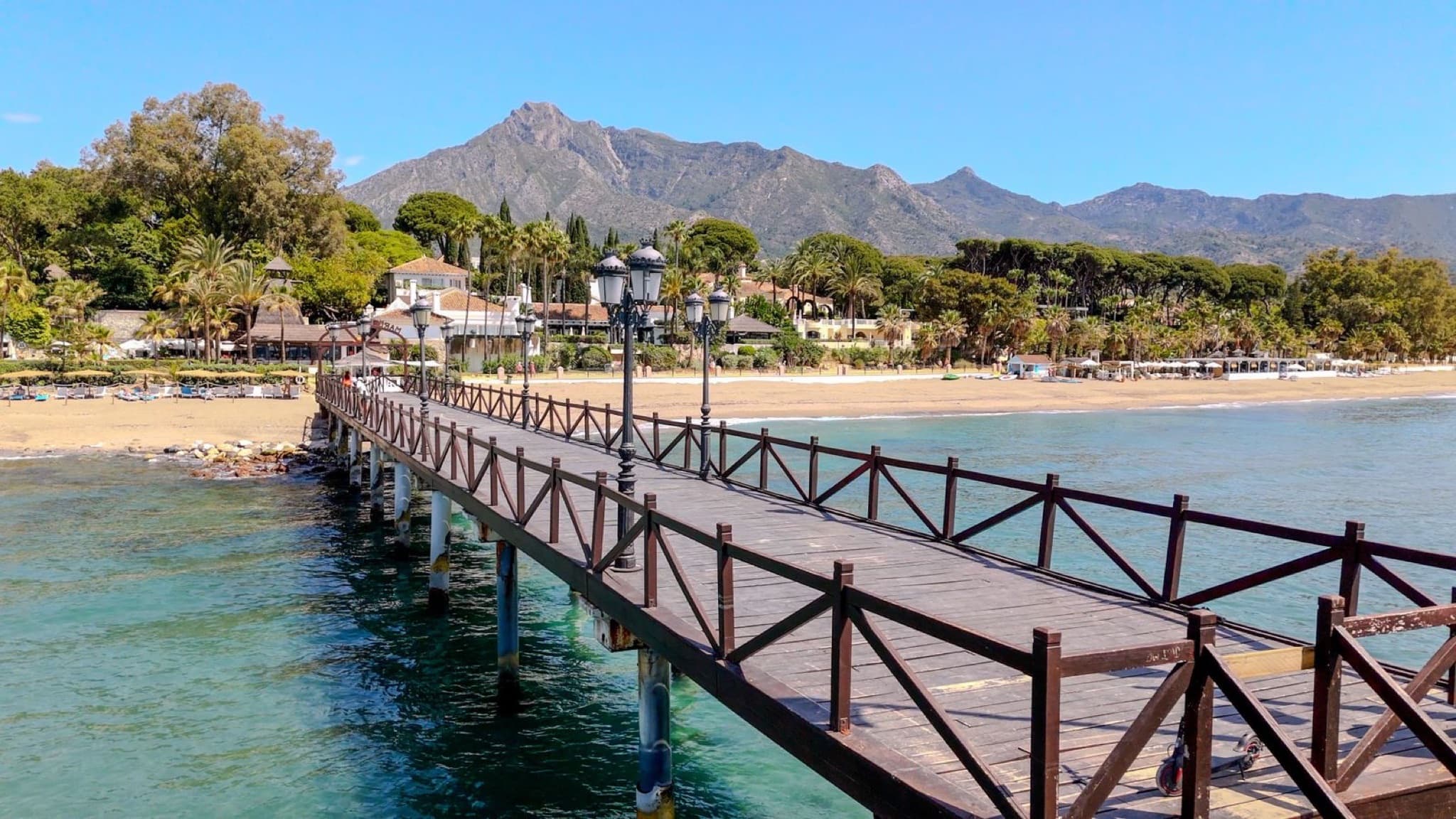 Playa Nagüeles beach, palm gardens and sea in Marbella.